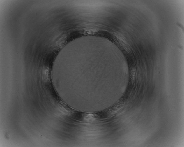 X0000091200222200709061419