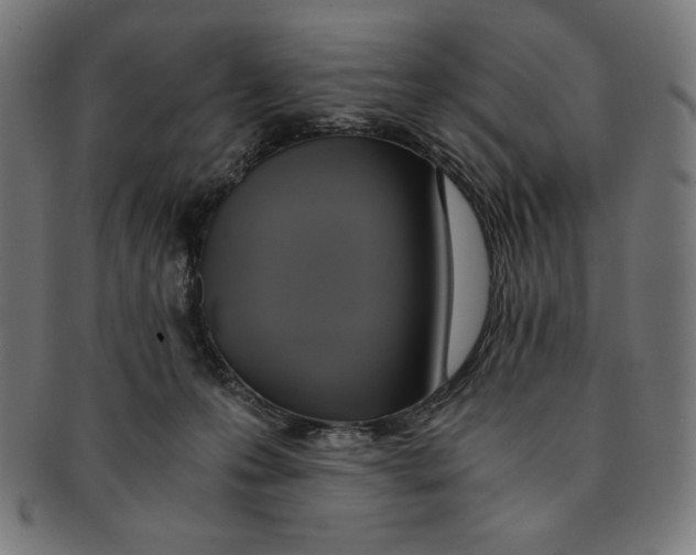 X0000091200223200709061419