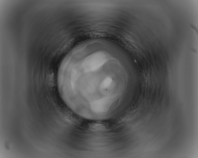 X0000091200224200709061419
