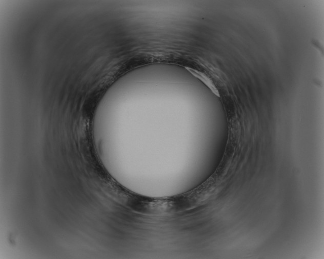 X0000091200225200709061419