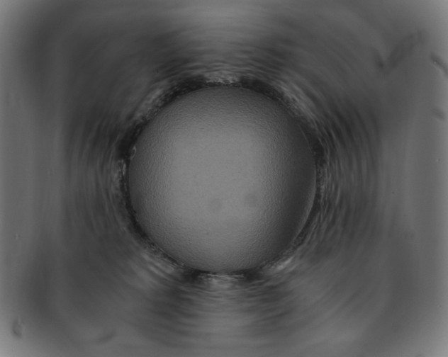 X0000091200229200709061419