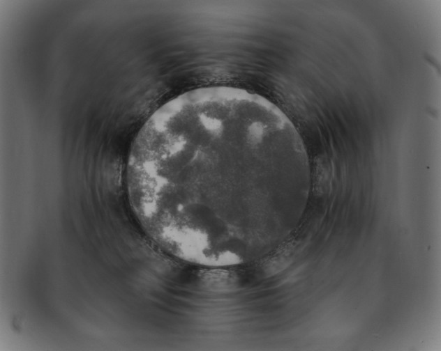 X0000091200230200709061419