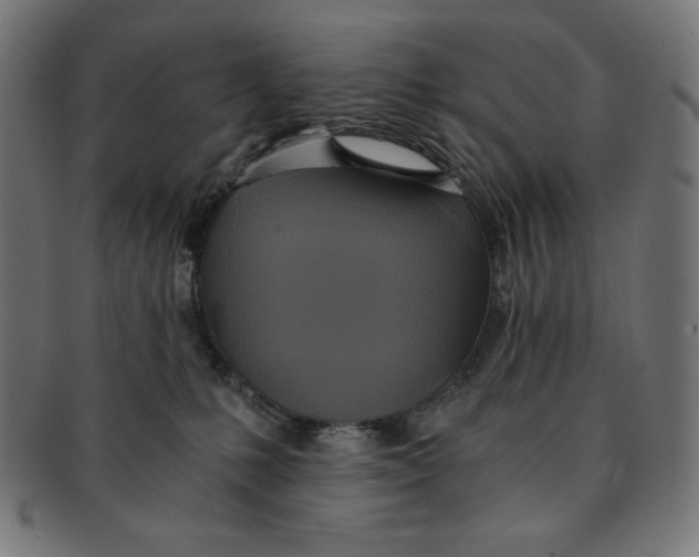 X0000091200231200709061419