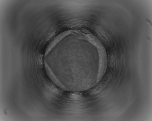X0000091200232200709061419