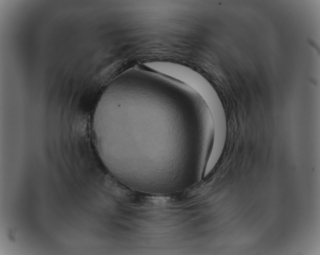 X0000091200233200709061419