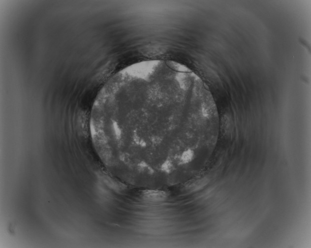 X0000091200234200709061419