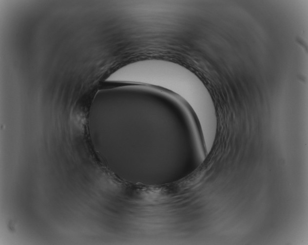 X0000091200235200709061419