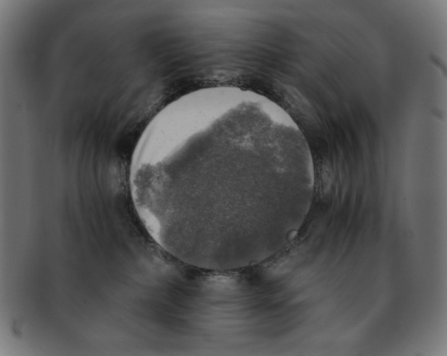 X0000091200236200709061419