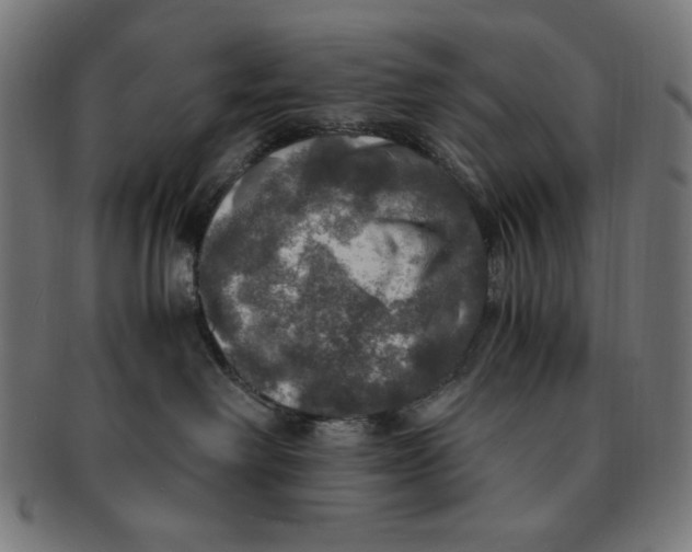 X0000091200238200709061419