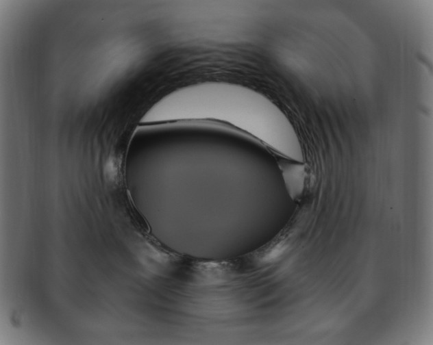 X0000091200239200709061419