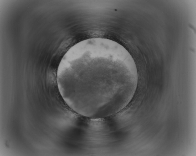 X0000091200240200709061419