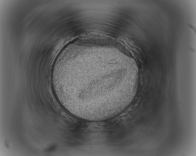 X0000091200241200709061418