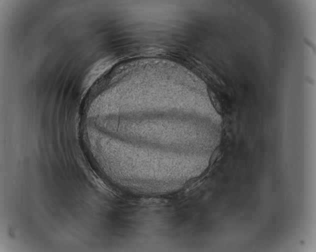X0000091200242200709061418