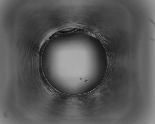 X0000091200244200709061418