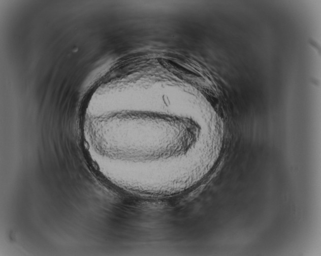 X0000091200245200709061418