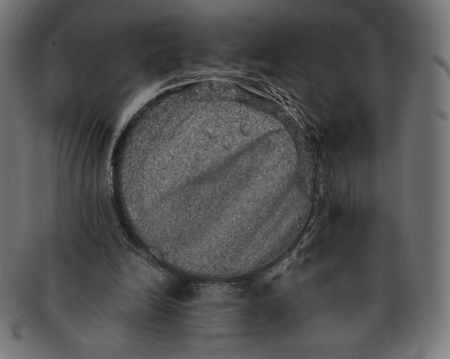 X0000091200246200709061418