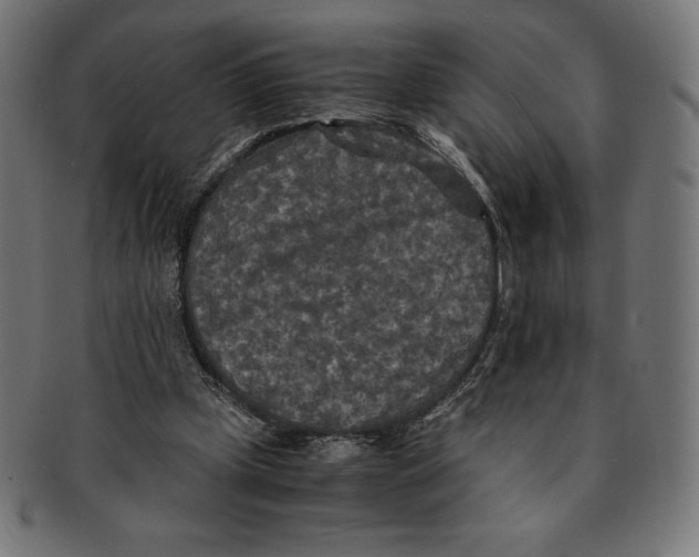 X0000091200249200709061418