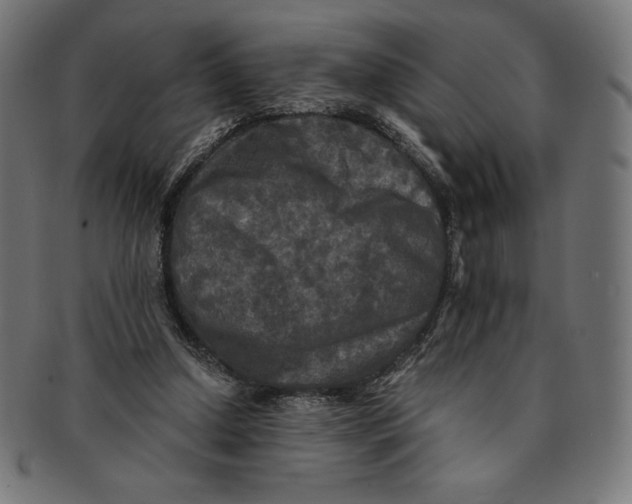 X0000091200250200709061418