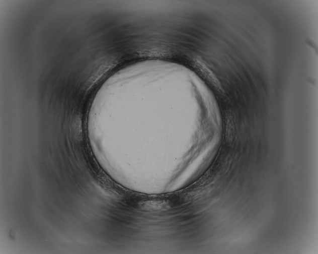 X0000091200251200709061418