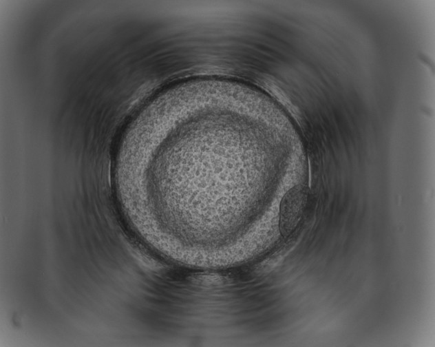 X0000091200253200709061418
