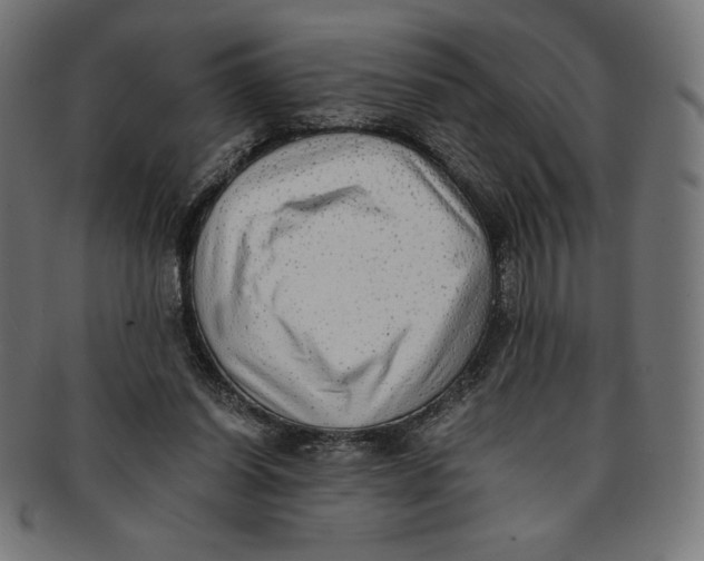 X0000091200254200709061418