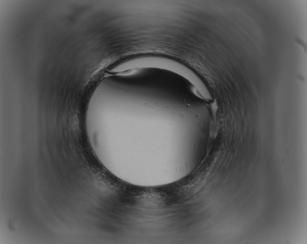 X0000091200256200709061418