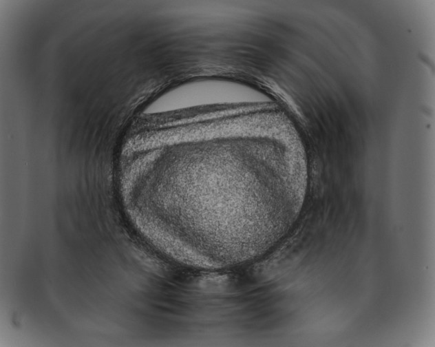 X0000091200257200709061418