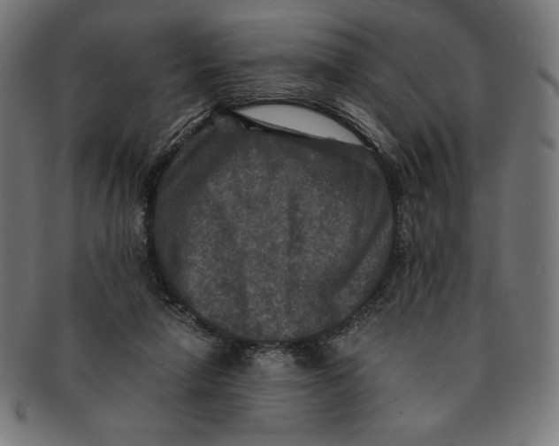 X0000091200258200709061419