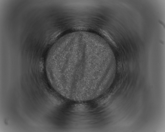 X0000091200259200709061419