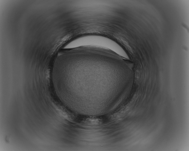 X0000091200260200709061419