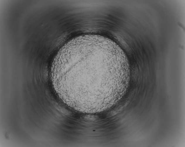 X0000091200261200709061419