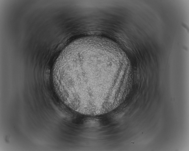 X0000091200263200709061419