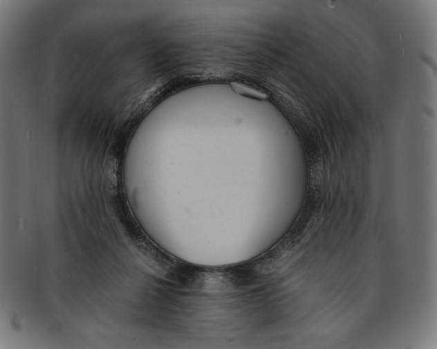 X0000091200264200709061419
