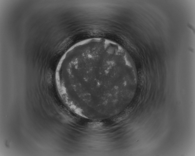 X0000091200266200709061419
