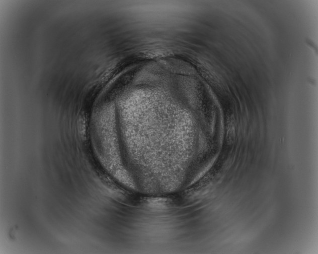 X0000091200268200709061419