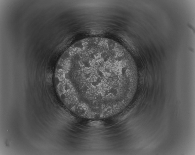 X0000091200269200709061419