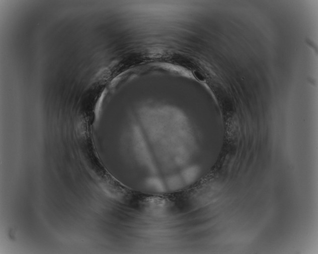 X0000091200272200709061419