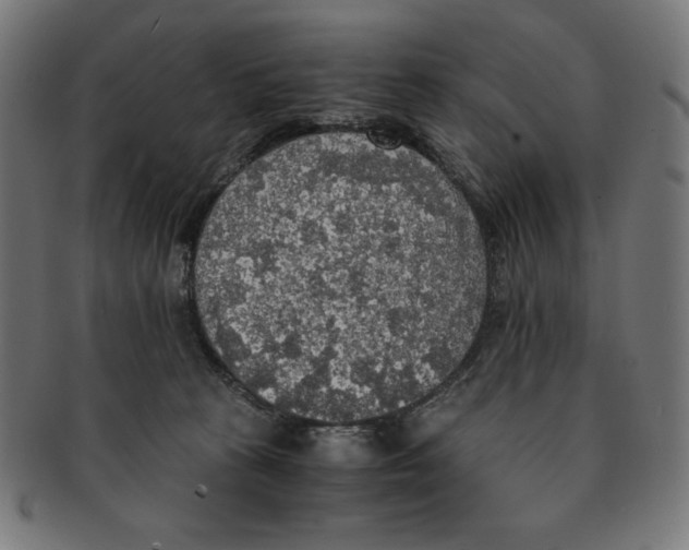 X0000091200273200709061419