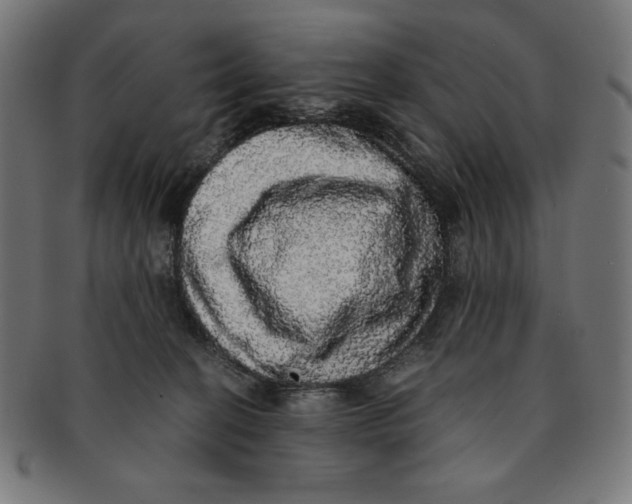 X0000091200274200709061419