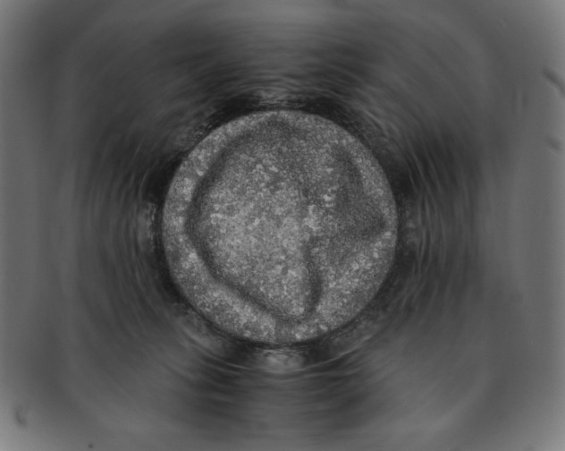 X0000091200275200709061419