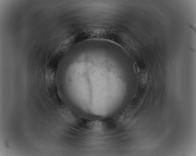 X0000091200276200709061419