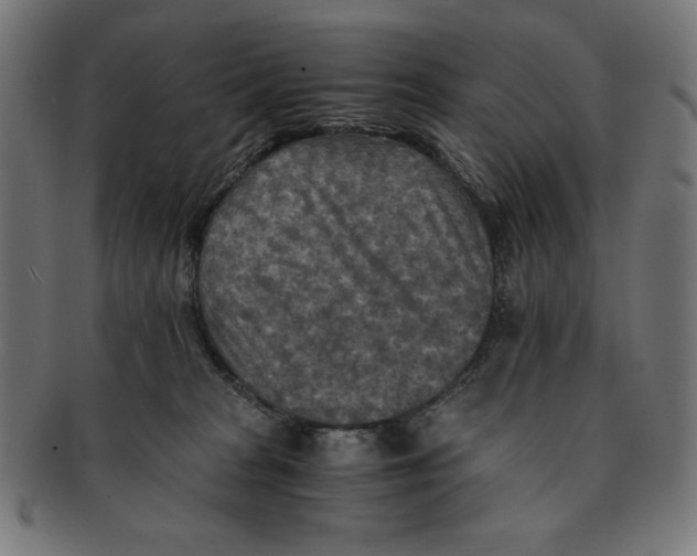 X0000091200277200709061419