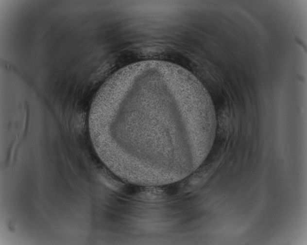 X0000091200278200709061419