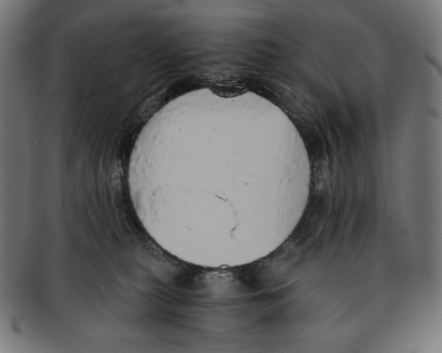 X0000091200279200709061419