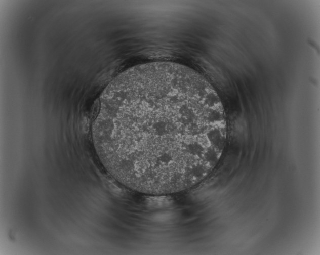 X0000091200281200709061419