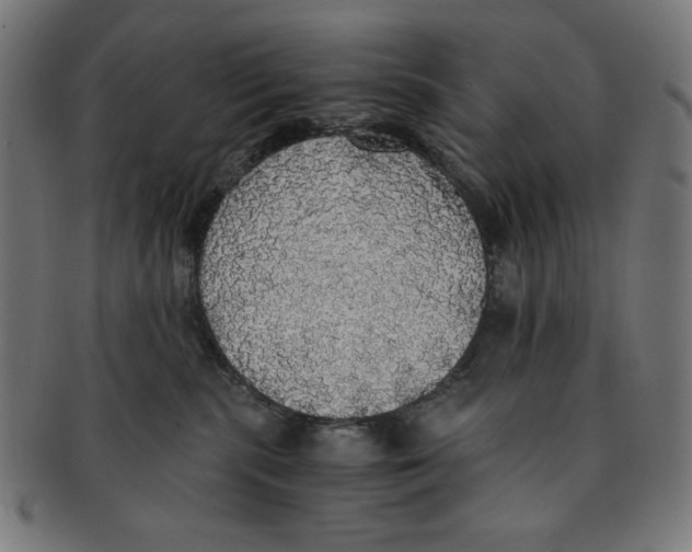X0000091200283200709061419