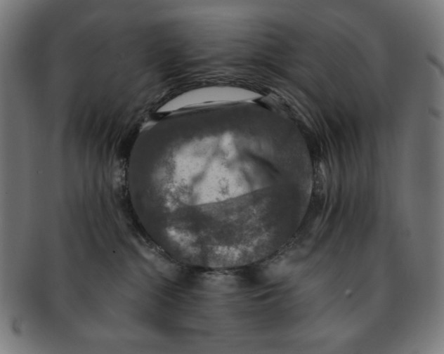 X0000091200284200709061419