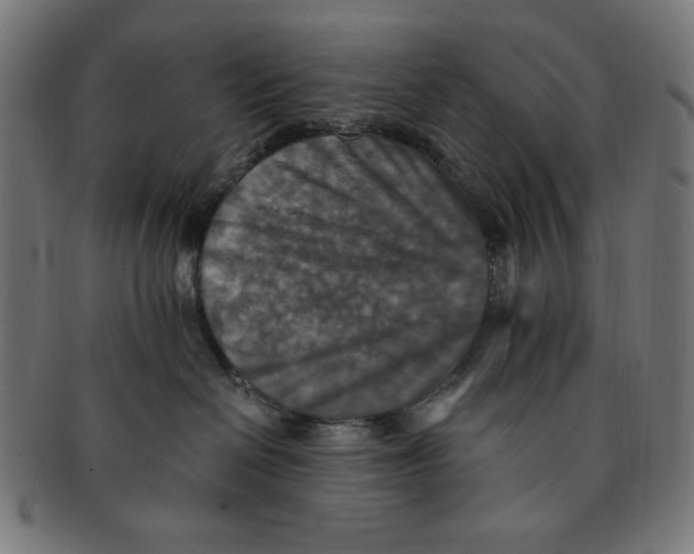 X0000091200286200709061419