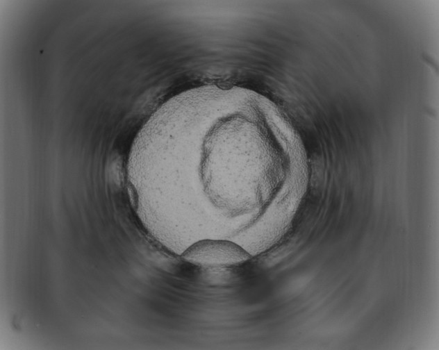 X0000091200287200709061419