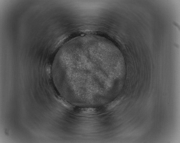X0000091200288200709061419
